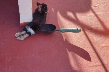 Not on top of the trowel!!!😂😂😂