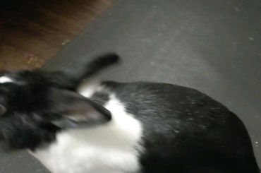 Does standing and walking count?