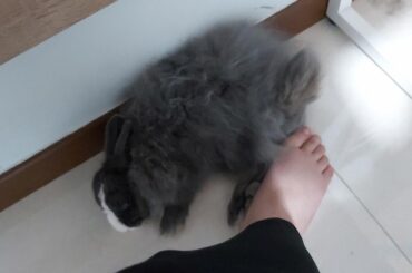 she just had to squeeze into that space, pls send halp my leg is cramping