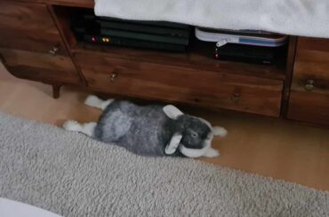 Why are his legs like this 😭