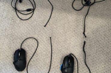 My 8 month old bunny: 2 - Logitech G502: 0