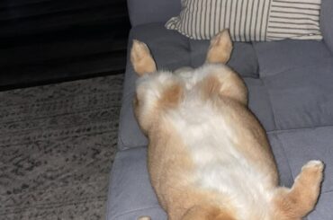 rough, rough life for poor Oliver