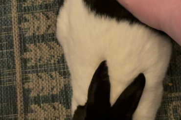 Technique for making the perfect loaf.