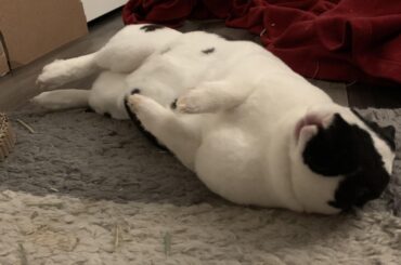 🥰