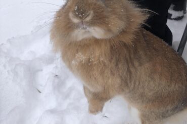 The cold fluffy stuff is back?!