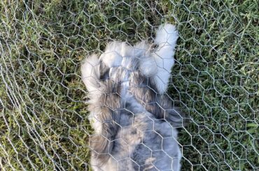 Nothing to see here.