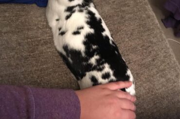 I noodled. I demand an apple!