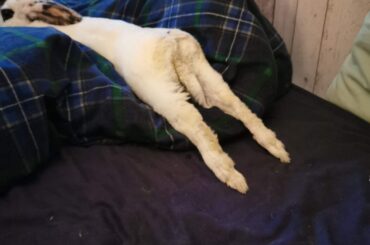 My comfy bun noodling