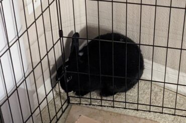 He loves being in this corner