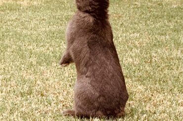 My curious little guy!