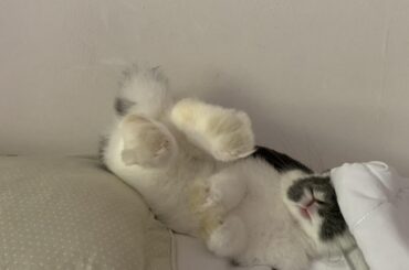 New sleeping position unlocked 😴