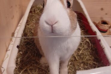 Yes I've been biting this, but I'm cute see 😇