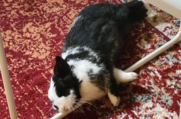 Post-flop, directly on the metal bars of the table