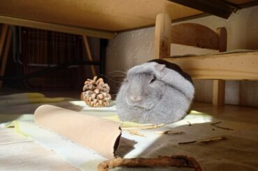 such a sweet loaf 🥰