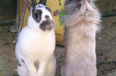 Got each other’s backs