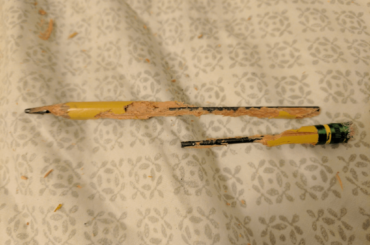 Artisanal Pencil Sharpening by Thrasher (x-post r/Rabbits)