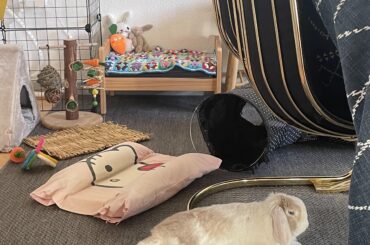 Lies down over a chair leg, there’s a soft bed right there…