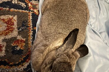 Question: Did I over proof?