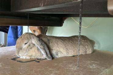 Éowyn’s new favorite place