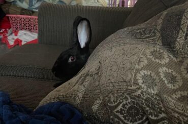 this is the why you on my couch son look.