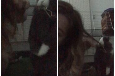 TBT when cub made nests for her imaginary babies and wanted to steal hair to use it as nesting material. Spay your does. (x-post r/Rabbits)