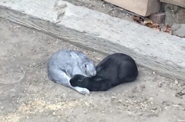 bun yoga...