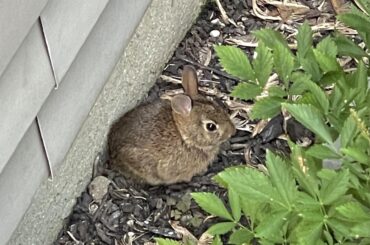 look at this babyy loaf