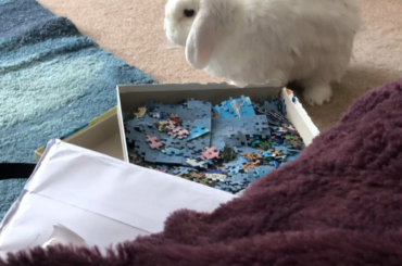 well i wonder how that happened