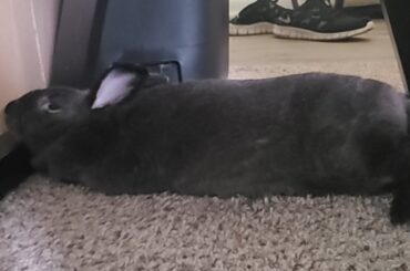 hmm yes this table will do!