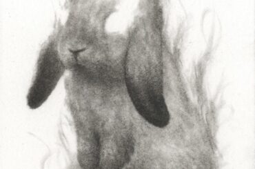 Lil standing bun by me. 5in x 7in drawing. (OC)