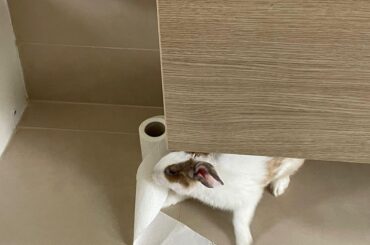 It’s one of those days