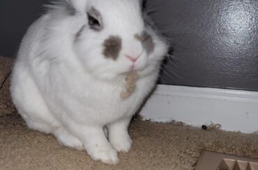 Uh... this speaker it's self 😭