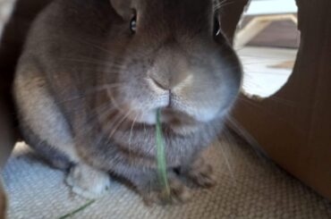 My little secret eater was caught by surprise. I love his silly face:)