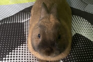 Baked to perfection.