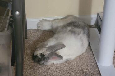 So comfy with her feet against the wall ❤️