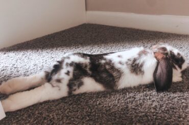 That’s a noodle if I’ve ever seen one!