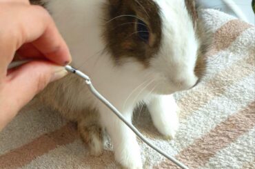 Because of me, mommy had no internet for 5 days