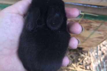 She’s a lil over cooked