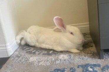 This is the definition of buncomfortable.
