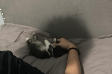 Cupid. As a baby she’d regularly flop into this position and sleep.