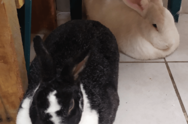 Loafing with best friend