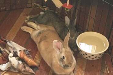 my big boy loves to be the little spoon