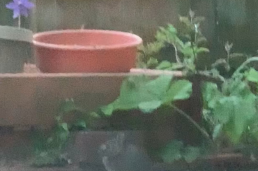 Marshall checking inside the pot for a new flavour