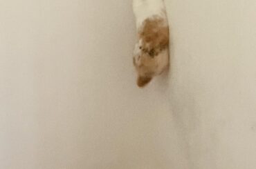 fLoAtiNG is the way👁👁