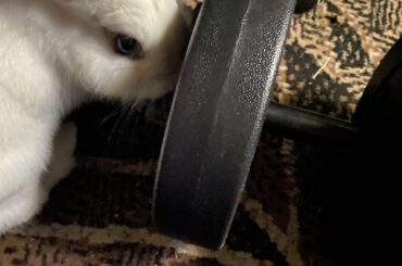 Didn’t let her get smooshed when I was exercising then she got grumpy, then smeared crumbs on the mat and tried to lick it off