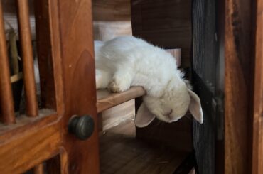 Deep asleep