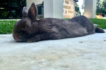 So glad I just found this sub!