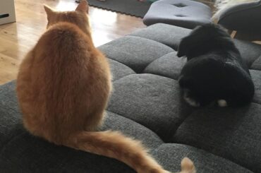 All is well that ends well 💕