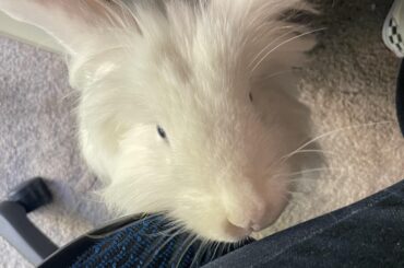 Making sure I’m not slacking off at work.