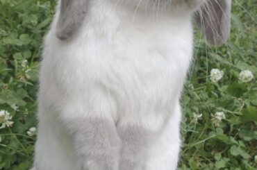 Do you have any treats?